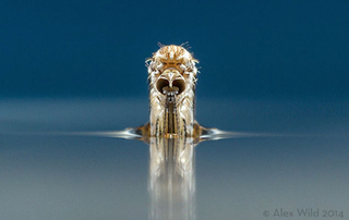 Illustration for article titled Reframe Roundup: This Week's Best Photography Posts